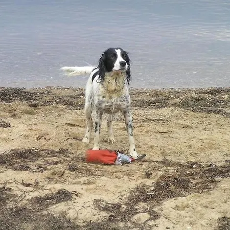 Awesome In With 2 Bedrooms And Wifi